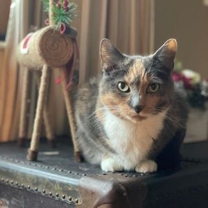 Meet your Posher, Tara